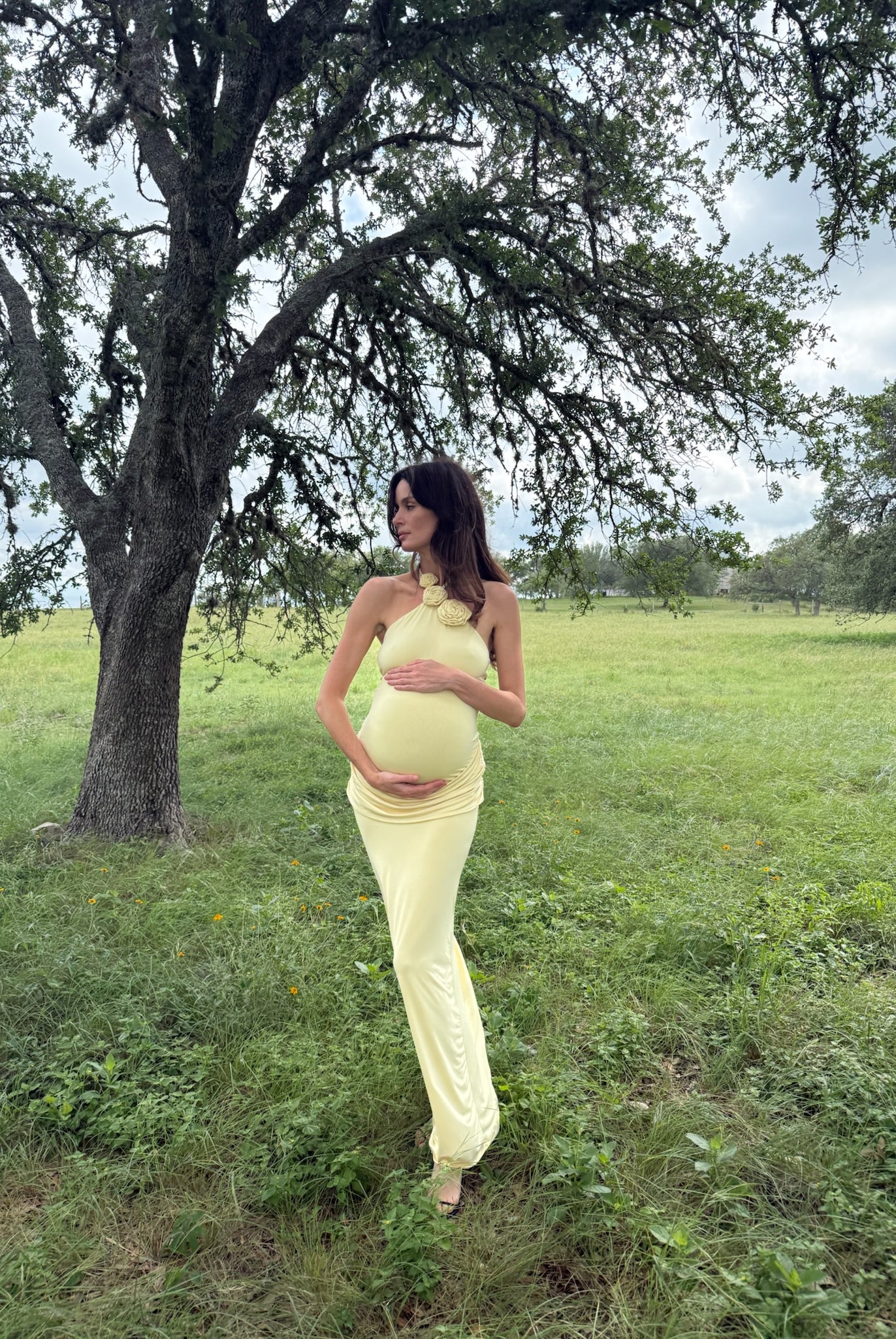 Pregnant woman in a light yellow dress standing in a grassy field with trees.