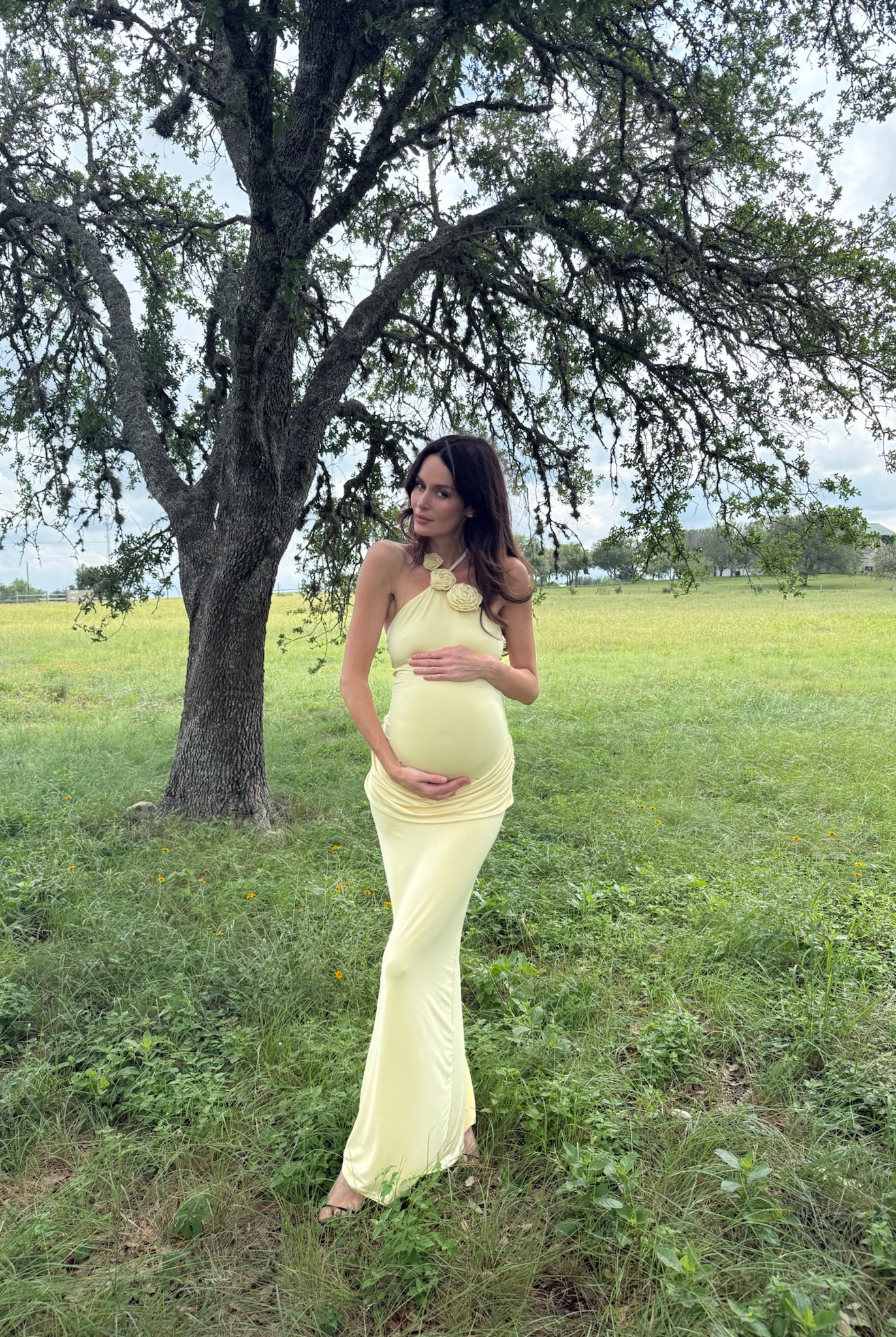 Pregnant woman in a yellow dress standing in a grassy field with a tree