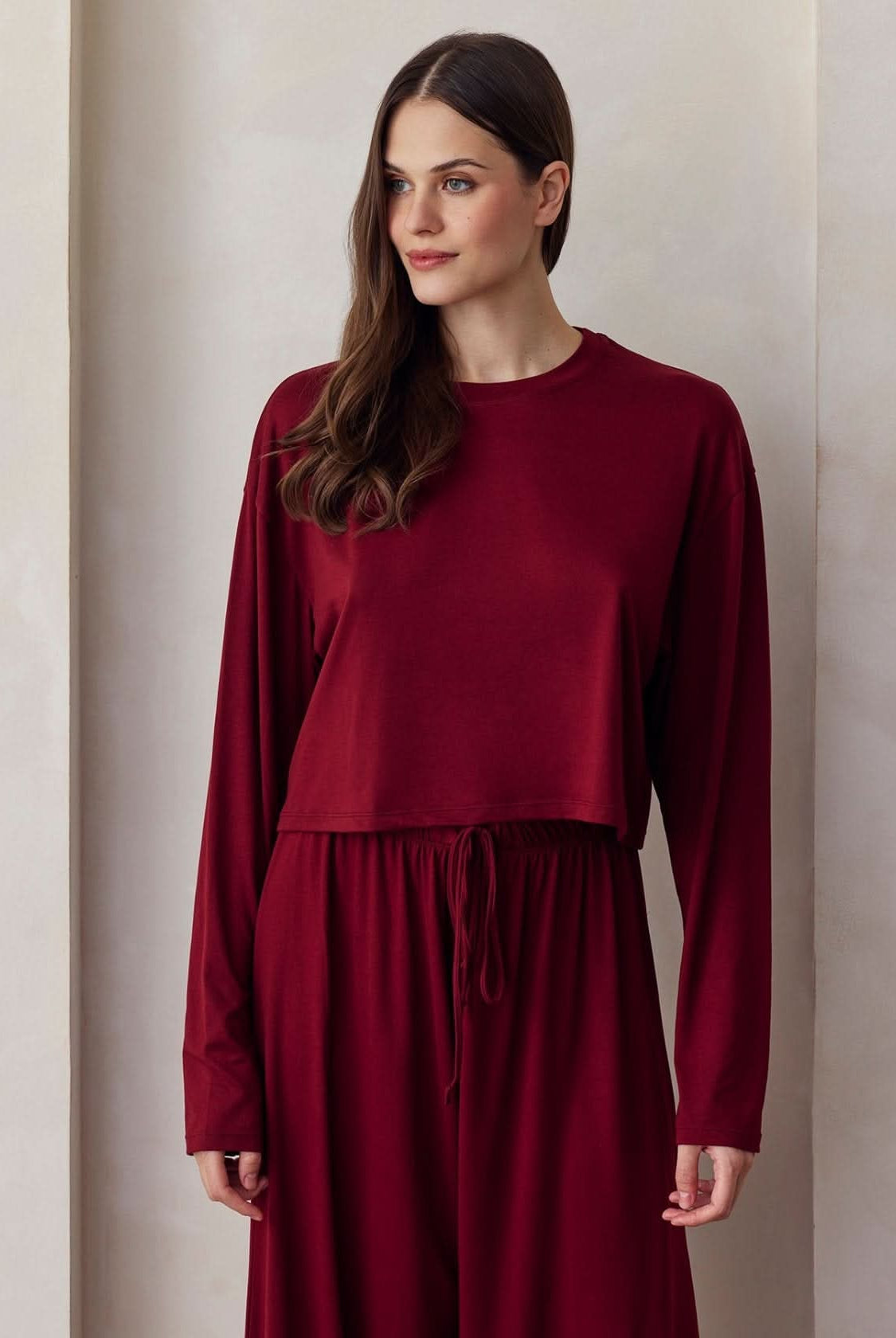 the cloud crop tee in burgundy