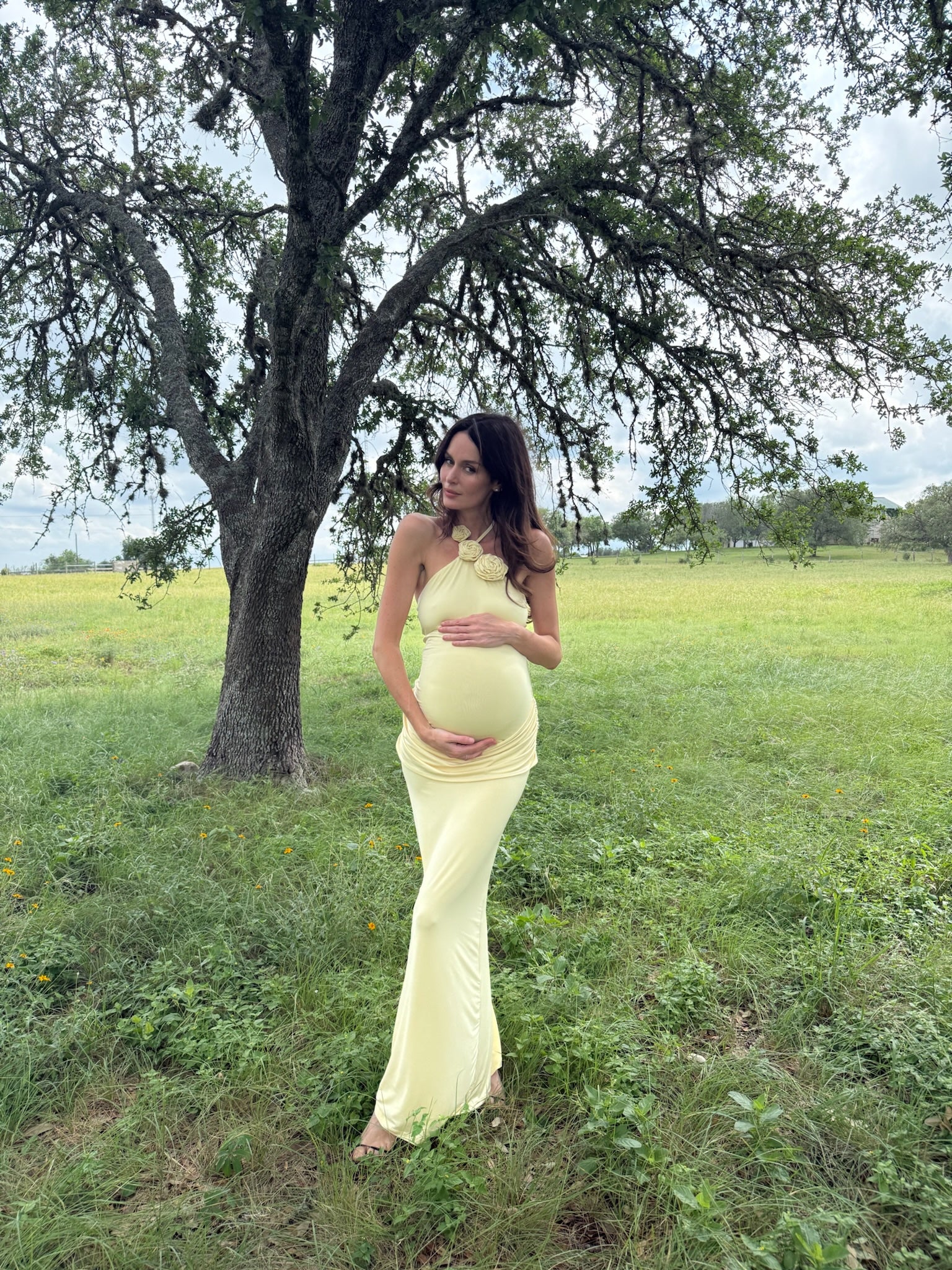 Pregnant woman in a yellow dress standing in a grassy field with a tree